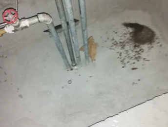 克什克腾卫生间测漏水价格明细