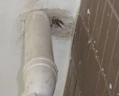 克什克腾漏水检测哪家好